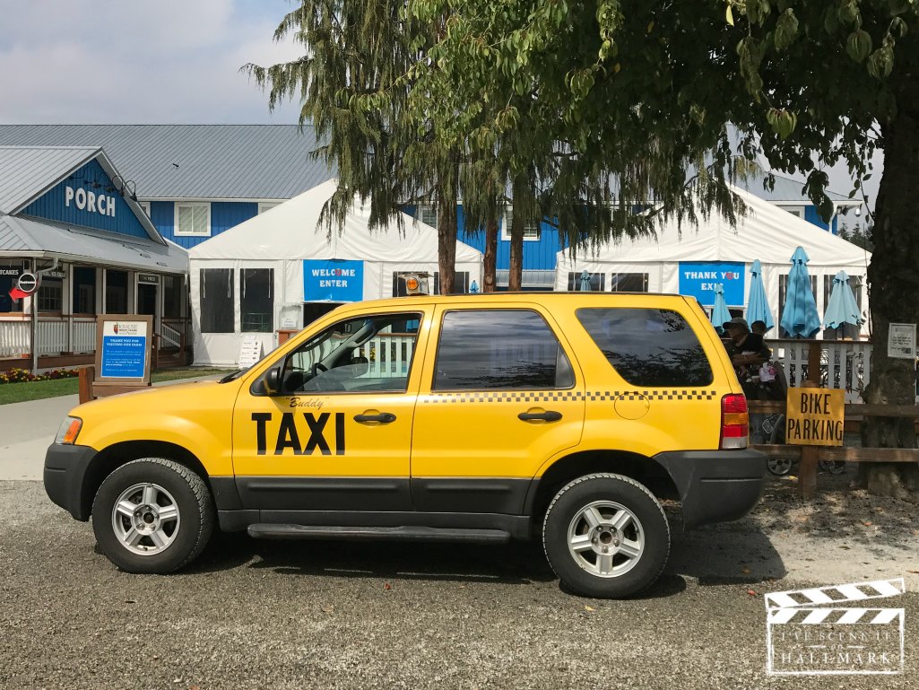 A Godwink Christmas set pic by Kerry at I've Scene It On Hallmark