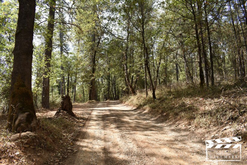 The Christmas Card film locations by Kerry at I've Scene It On Hallmark